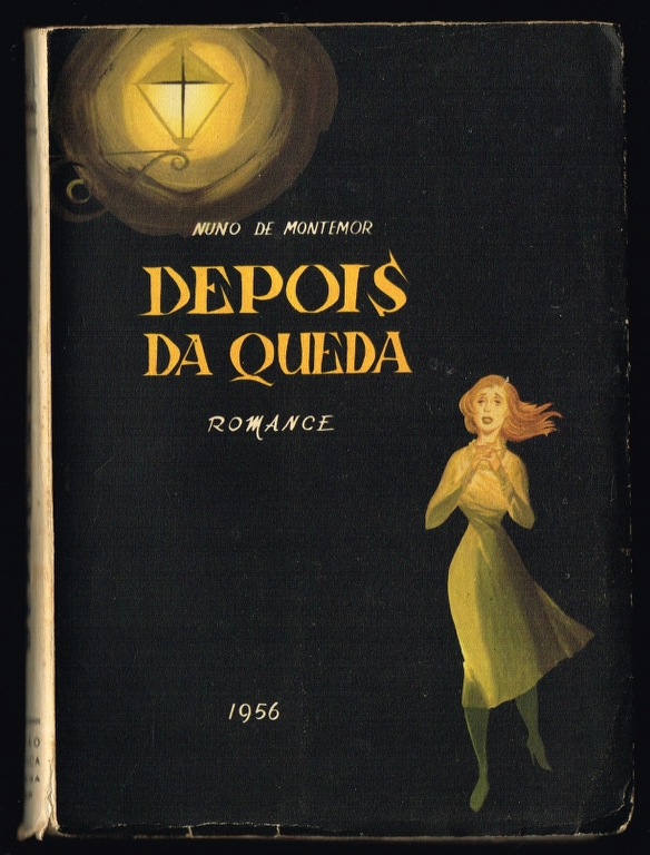 DEPOIS DA QUEDA (romance)
